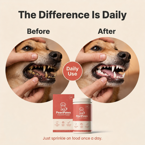 PearlPaws® Oral Restore | Daily Biofilm Defense for Dogs